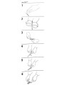 Sacht de 10 sutures adhésives 6x100mm STERI STRIP avec notice