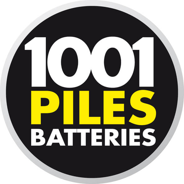 1001 piles batteries