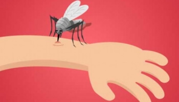 Comment faire fuir les moustiques ?