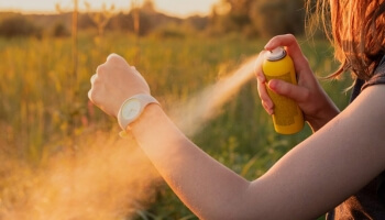 Tout savoir sur les insecticides